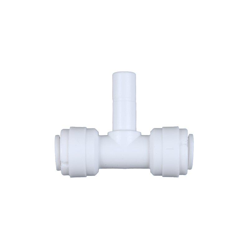 Positive T plug-1